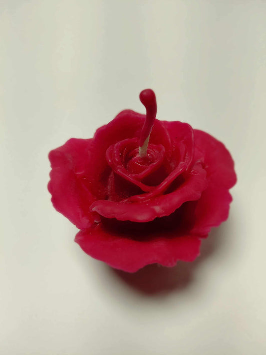 Žvakė "Rožė purpurinė"